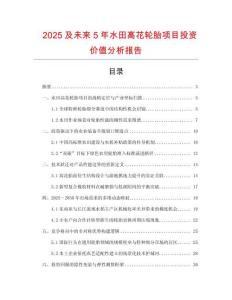 2025及未來5年水田高花輪胎項目投資價值分析報告