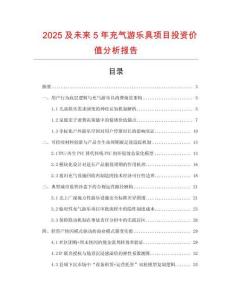 2025及未來5年充氣游樂具項目投資價值分析報告