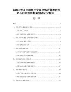 2026-2030中國黑色金屬冶煉市場發(fā)展策略與前景規(guī)模趨勢預(yù)測研究報告