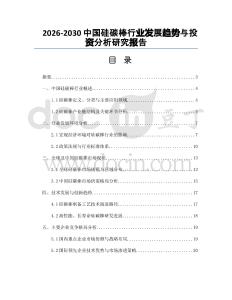 2026-2030中國硅碳棒行業發展趨勢與投資分析研究報告