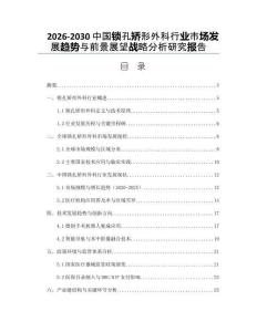 2026-2030中國鎖孔矯形外科行業市場發展趨勢與前景展望戰略分析研究報告