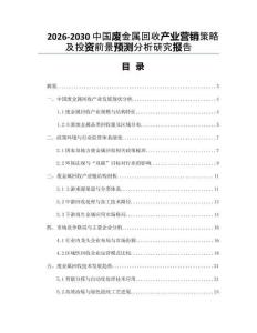 2026-2030中國廢金屬回收產業營銷策略及投資前景預測分析研究報告