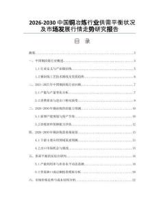 2026-2030中國銅冶煉行業(yè)供需平衡狀況及市場發(fā)展行情走勢研究報告