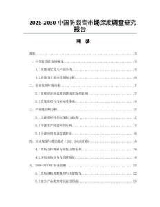 2026-2030中國(guó)防裂膏市場(chǎng)深度調(diào)查研究報(bào)告