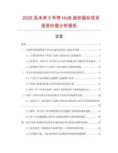 2025及未來5年帶HUB迷你鼠標項目投資價值分析報告