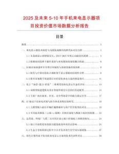 2025及未來5-10年手機來電顯示器項目投資價值市場數據分析報告