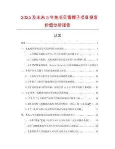 2025及未來5年兔毛貝雷帽子項目投資價值分析報告