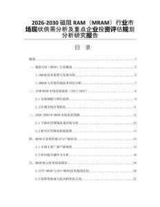 2026-2030磁阻RAM（MRAM）行業(yè)市場現(xiàn)狀供需分析及重點企業(yè)投資評估規(guī)劃分析研究報告