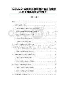 2026-2030中國苯并呋喃酮行業運行現狀與前景戰略分析研究報告