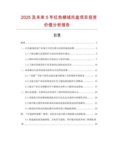 2025及未來5年紅色植絨托盤項目投資價值分析報告