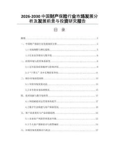2026-2030中國財產(chǎn)保險行業(yè)市場發(fā)展分析及發(fā)展前景與投資研究報告