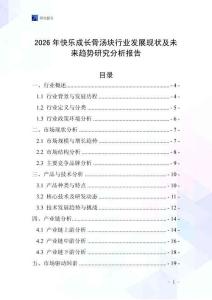 2026年快樂成長骨湯塊行業發展現狀及未來趨勢研究分析報告