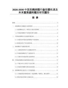 2026-2030中國高純磷烷行業投資機遇及未來發展戰略規劃研究報告