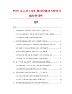 2025及未来5年打磨机软轴项目投资价值分析报告