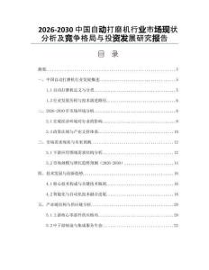2026-2030中国自动打磨机行业市场现状分析及竞争格局与投资发展研究报告