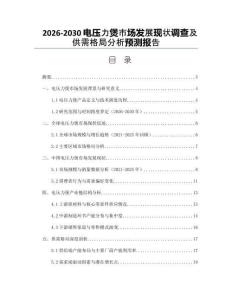 2026-2030電壓力煲市場發(fā)展現(xiàn)狀調(diào)查及供需格局分析預(yù)測報(bào)告