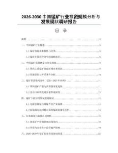 2026-2030中國錳礦行業(yè)投資規(guī)模分析與發(fā)展現(xiàn)狀調(diào)研報告