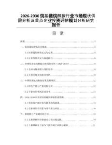 2026-2030烷基鏈烷醇胺行業(yè)市場現(xiàn)狀供需分析及重點(diǎn)企業(yè)投資評估規(guī)劃分析研究報(bào)告