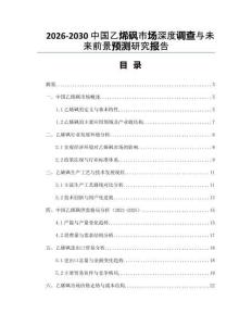 2026-2030中國乙烯砜市場深度調查與未來前景預測研究報告