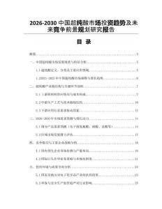 2026-2030中國超純酸市場投資趨勢及未來競爭前景規(guī)劃研究報告
