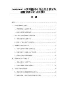 2026-2030中國高強螺栓行業(yè)前景展望與趨勢預(yù)測分析研究報告