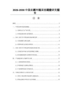 2026-2030中國皮褲市場深度調查研究報告