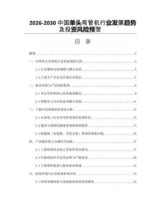 2026-2030中國單頭彎管機行業發展趨勢及投資風險預警