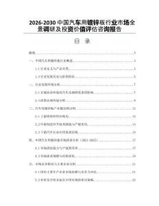 2026-2030中國(guó)汽車用鍍鋅板行業(yè)市場(chǎng)全景調(diào)研及投資價(jià)值評(píng)估咨詢報(bào)告