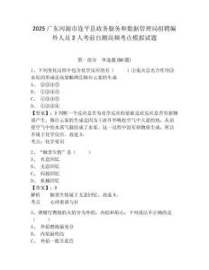 2025廣東河源市連平縣政務服務和數據管理局招聘編外人員2人考前自測高頻考點模擬試題及完整答案詳解1