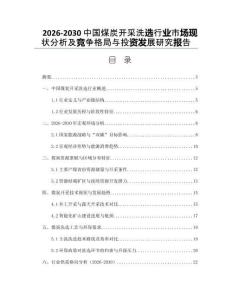 2026-2030中國煤炭開采洗選行業(yè)市場現(xiàn)狀分析及競爭格局與投資發(fā)展研究報告