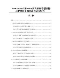 2026-2030中國(guó)MVR蒸汽機(jī)械專項(xiàng)咨詢與發(fā)展前景綜合評(píng)判研究報(bào)告