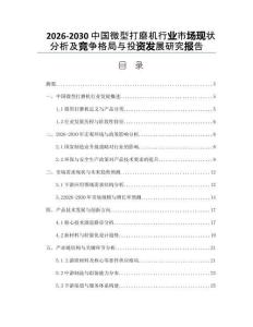 2026-2030中国微型打磨机行业市场现状分析及竞争格局与投资发展研究报告