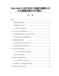 2026-2030中國洗精煤行業(yè)競爭趨勢分析及投資戰(zhàn)略規(guī)劃研究報告