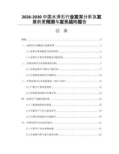2026-2030中國水滑石行業(yè)發(fā)展分析及發(fā)展前景預測與發(fā)展戰(zhàn)略報告