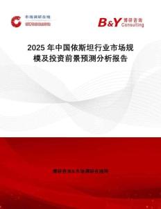 2025年中國依斯坦行業市場規模及投資前景預測分析報告