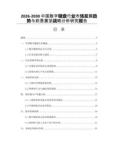 2026-2030中國數字鍵盤行業市場發展趨勢與前景展望戰略分析研究報告