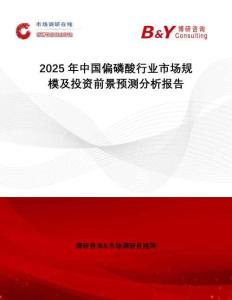 2025年中國偏磷酸行業市場規模及投資前景預測分析報告