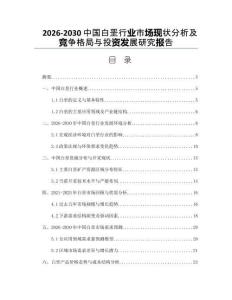 2026-2030中國白堊行業市場現狀分析及競爭格局與投資發展研究報告