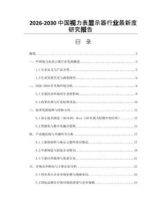 2026-2030中國(guó)視力表顯示器行業(yè)最新度研究報(bào)告