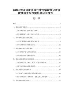 2026-2030煤炭洗煤行業(yè)市場發(fā)展分析及發(fā)展前景與投資機會研究報告
