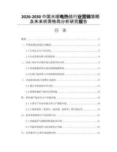 2026-2030中國水暖電熱毯行業(yè)營銷策略及未來供需格局分析研究報告