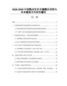 2026-2030中國熱成型機(jī)市場現(xiàn)狀洞察與未來發(fā)展方向研究報告