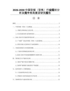 2026-2030中國型煤（型焦）行業(yè)現(xiàn)狀分析及競爭格局展望研究報告