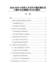 2026-2030中國稀土永磁體市場投資機遇與競爭格局預測分析研究報告