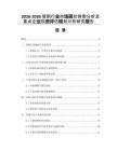 2026-2030管刷行業(yè)市場現(xiàn)狀供需分析及重點企業(yè)投資評估規(guī)劃分析研究報告
