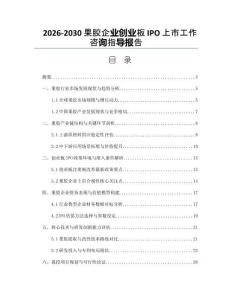 2026-2030果膠企業創業板IPO上市工作咨詢指導報告