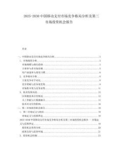 2025-2030中國移動支付市場競爭格局分析及第三市場投資機會報告