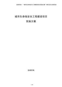 城市生命線安全工程建設(shè)項(xiàng)目實(shí)施方案