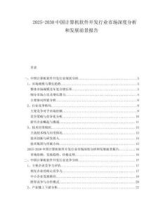 2025-2030中國計算機軟件開發行業市場深度分析和發展前景報告