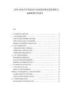 2025-2030汽車制造業行業深度評測及發展策略與戰略配置分析報告